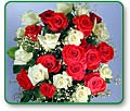 Red and White Roses (two dozen)
