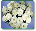 White Roses (two dozen)
