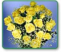 Yellow Roses (two dozen)